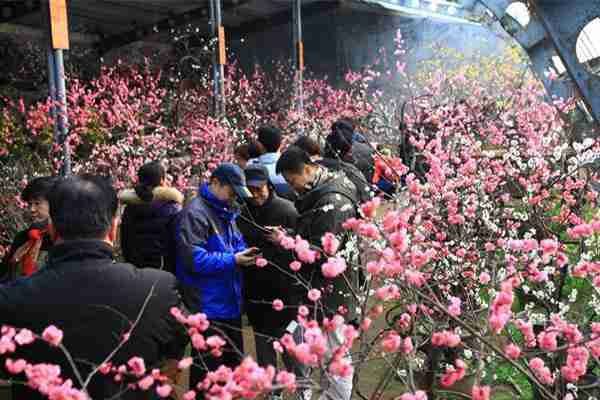 北京紅螺寺2020春節祈福游園會活動時間安排