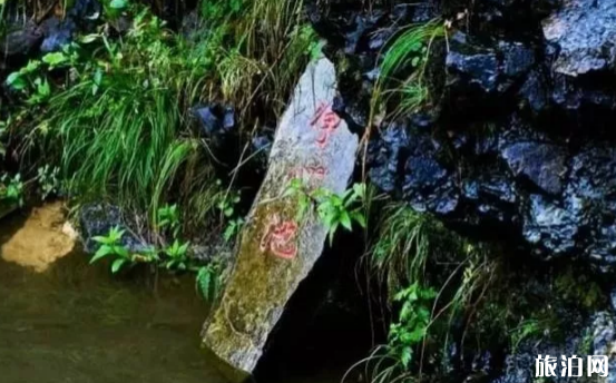 貴州梵凈山有哪些景點游玩