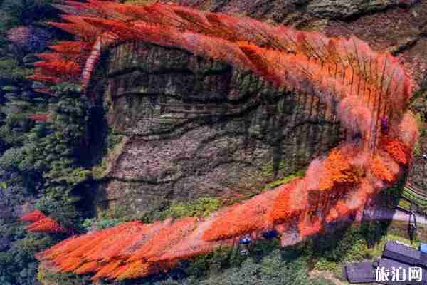 三明龍棲山游玩攻略