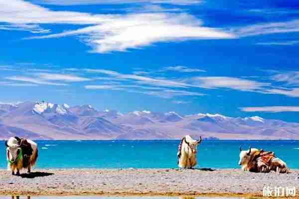 去西藏要準備什么證件 西藏怎么坐車 去西藏要準備什么證件 西藏怎么坐車