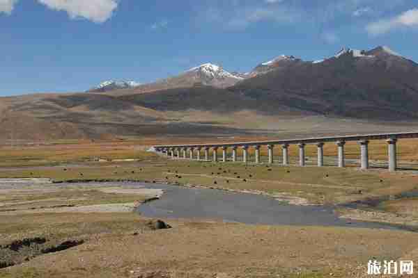 一家人去西藏必須知道的小知識