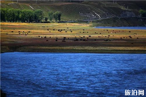 第一次去西藏會有高原反應嗎? 第一次去西藏會有高原反應嗎?