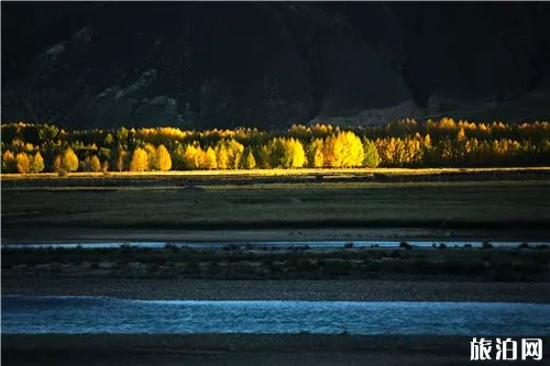 第一次去西藏會有高原反應嗎? 第一次去西藏會有高原反應嗎?