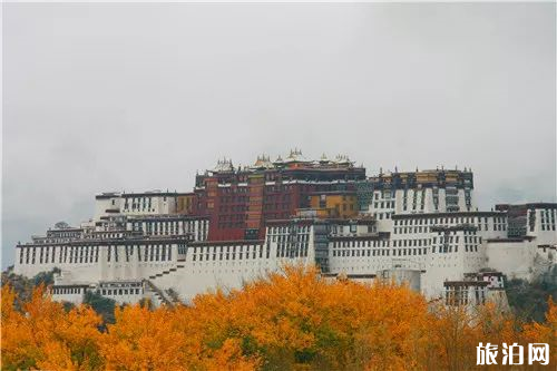 第一次去西藏會有高原反應嗎? 第一次去西藏會有高原反應嗎?