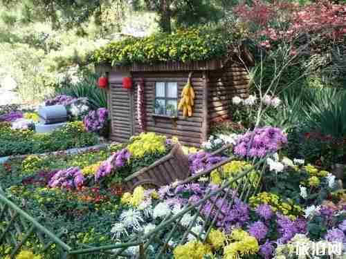 武漢清明節網上掃墓怎么預約