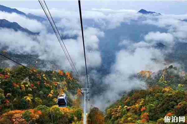 重慶金佛山西坡索道票價多少錢 免票時間+優惠內容 重慶金佛山西坡索道票價多少錢 免票時間+優惠內容
