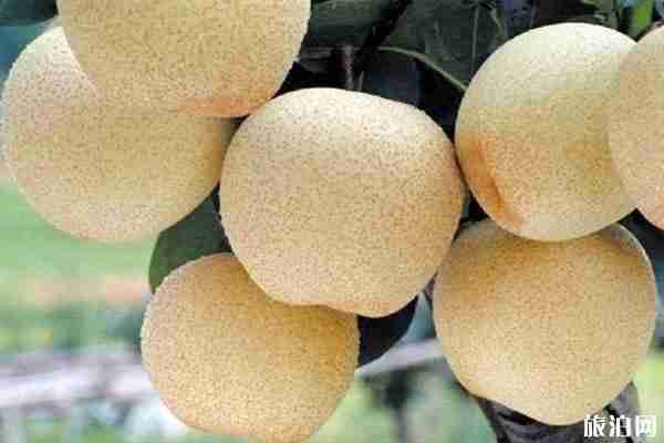 婺源有什么特產 婺源特產介紹