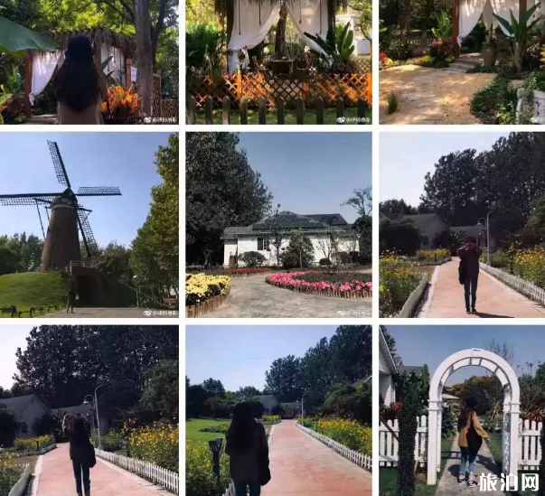 南京网红打卡地有哪些 南京网红打卡地有哪些