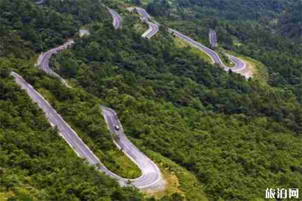 重慶金佛山一日游玩攻略