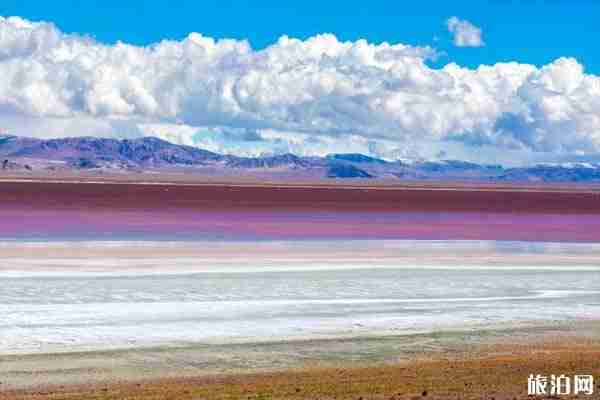 西藏最美扎布耶茶卡景點介紹