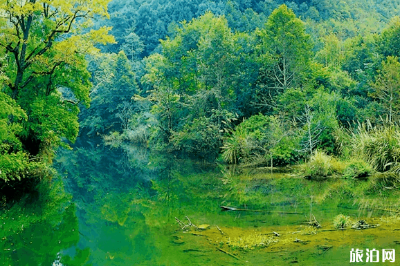 中國最美的四條省道 中國最美的四條省道