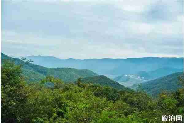 余姚大隱鎮旅游景點推薦 余姚大隱鎮旅游景點推薦