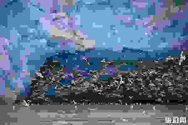 斯瓦爾巴群島旅游攻略 斯瓦爾巴群島旅游攻略