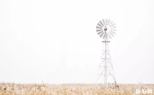 武漢哪些地方適合情侶之間打卡