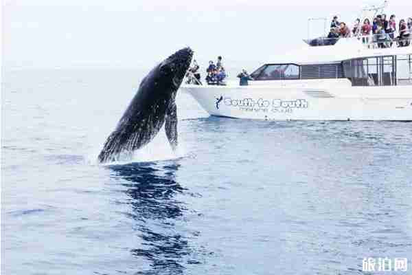 沖繩冬天冷嗎 沖繩冬天旅游攻略 沖繩冬天冷嗎 沖繩冬天旅游攻略