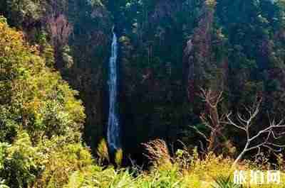 去泰國旅游哪些是必打卡之處