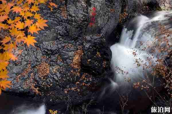 長白山有哪些景點 農夫山泉水源地
