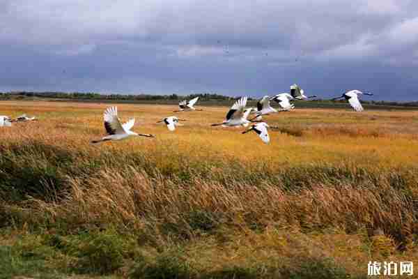 長白山有哪些景點 農夫山泉水源地
