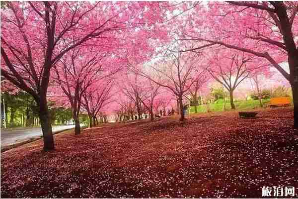 蘇州一日游必去景點推薦
