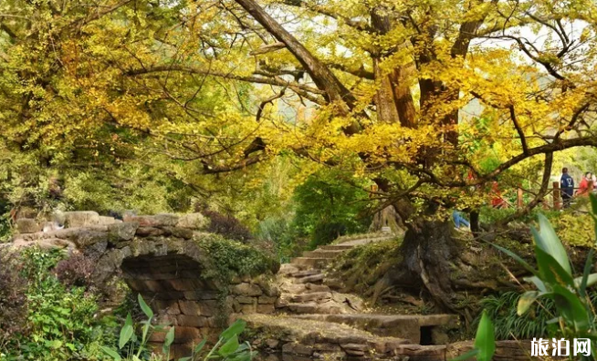 國內有哪些有特色的村鎮值得一去的