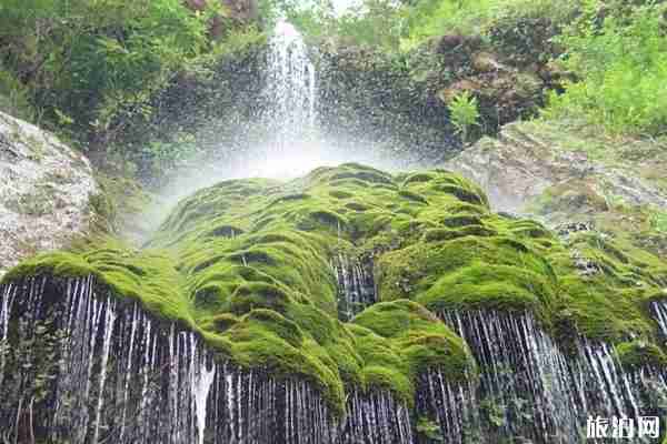 2020西安親子年票目錄 2020西安親子年票價格+購買+常見問題 2020西安親子年票目錄 2020西安親子年票價格+購買+常見問題