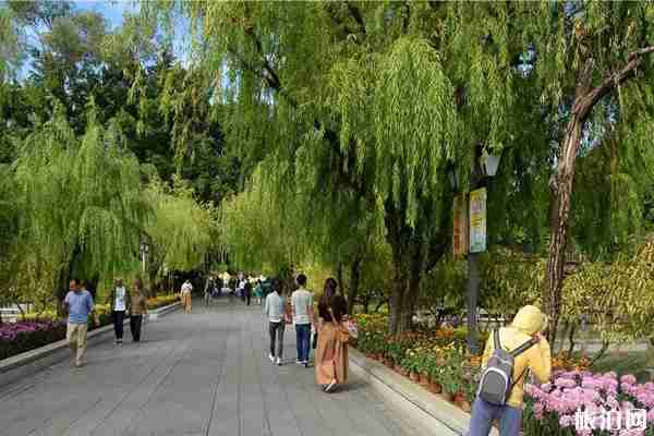 2019福州西湖菊花展時間+地點 2019福州西湖菊花展攻略