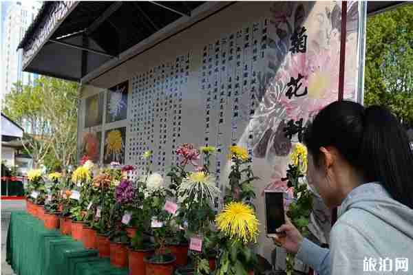 2019福州西湖菊花展時間+地點 2019福州西湖菊花展攻略