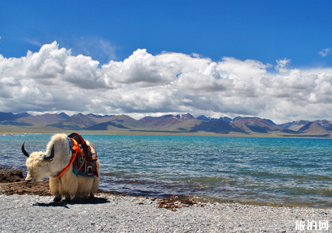 為什么在西藏不能釣魚