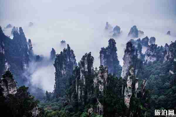 張家界最佳游玩時間+游玩天數+景點推薦 張家界最佳游玩時間+游玩天數+景點推薦