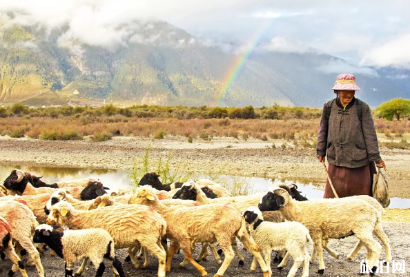 去西藏旅游哪些事情不能做 去西藏旅游哪些事情不能做