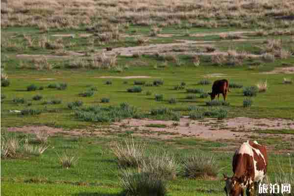 呼和浩特旅游攻略