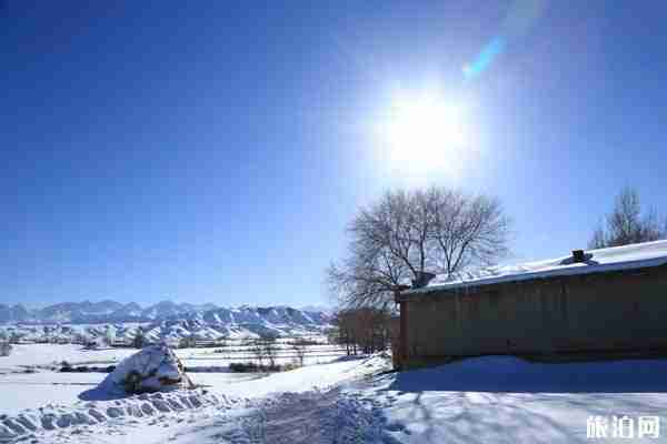 冬天去新疆旅游有哪些必去景點