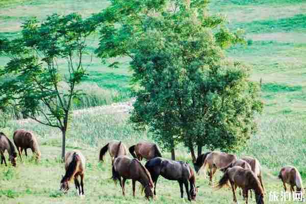 2019武漢木蘭草原閉園通知（含開放時間）