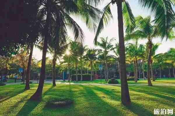 三亞大東海美食+景點(diǎn)推薦