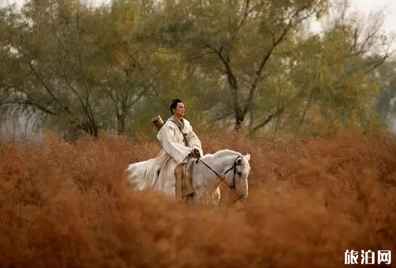 內蒙古曾經拍攝了哪些影片