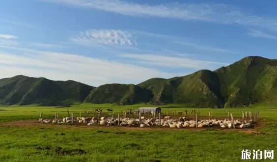 內蒙古曾經拍攝了哪些影片