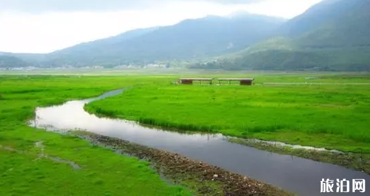 云南的滇西有哪些景點 云南的滇西有哪些景點