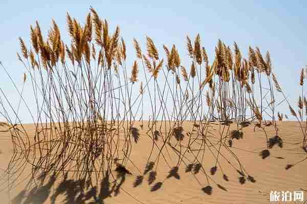 南疆旅游什么時候去最好 南疆旅游景點推薦