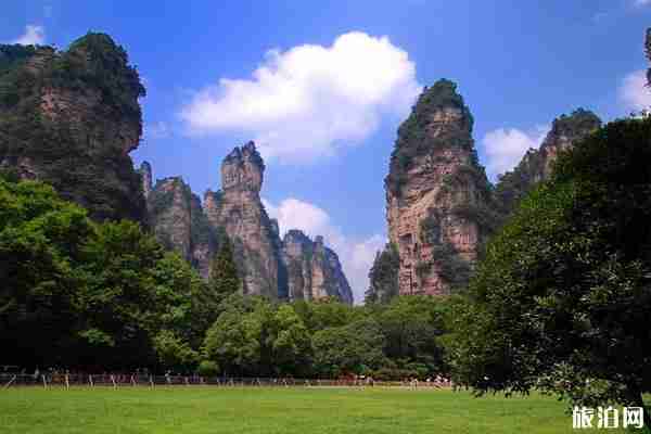 張家界景區(qū)游玩指南(開放時(shí)間+門票+交通) 張家界景區(qū)游玩指南(開放時(shí)間+門票+交通)