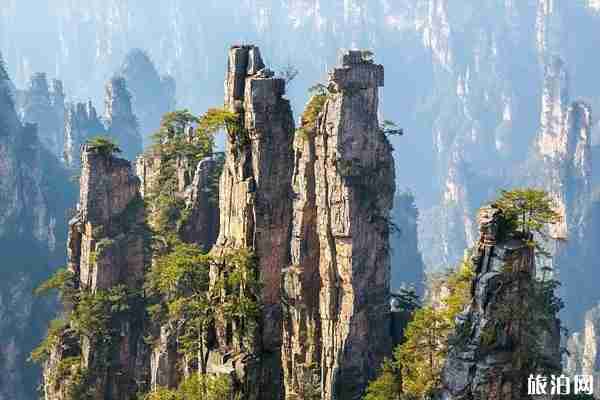 張家界景區(qū)游玩指南(開放時(shí)間+門票+交通) 張家界景區(qū)游玩指南(開放時(shí)間+門票+交通)