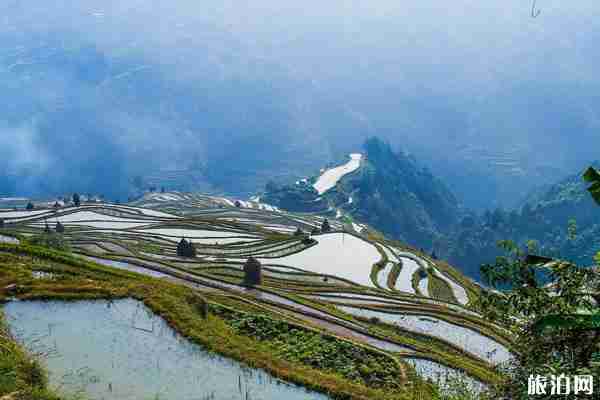 2019貴州286個A級景區半價有玩(景區名單+優惠時間) 2019貴州286個A級景區半價有玩(景區名單+優惠時間)