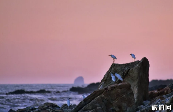 國內(nèi)最適合居住的小島有哪些 國內(nèi)最適合居住的小島有哪些