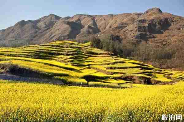 2020全國旅游年票云南景點名單+購買+使用