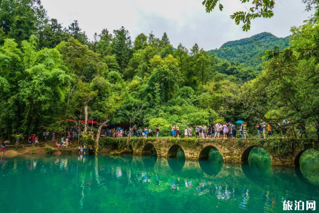 這個冬天貴州有哪些必去景點