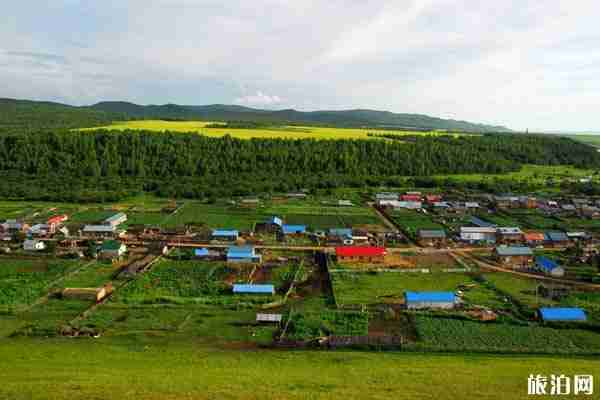 內蒙古有哪些草原值得一游