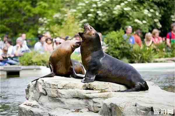 太原動物園停車場收費多少 停車位在哪里