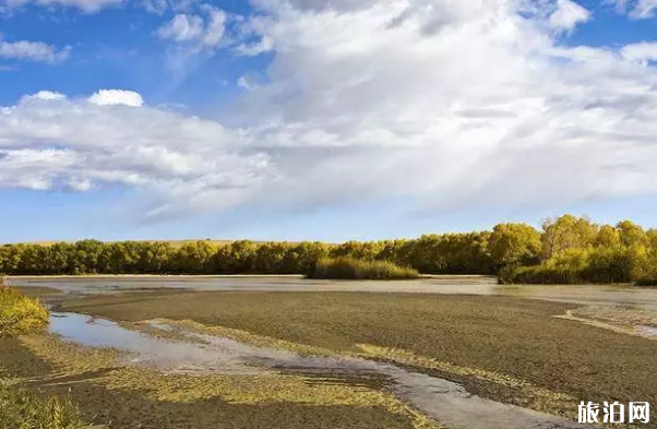 格爾木周邊有哪些景點
