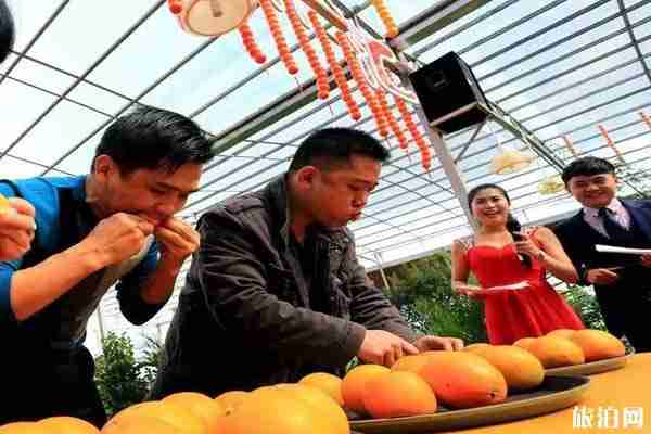 2019三峽竹海豐收節時間+地點+活動介紹 2019三峽竹海豐收節時間+地點+活動介紹