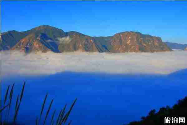 云南云海哪里最漂亮