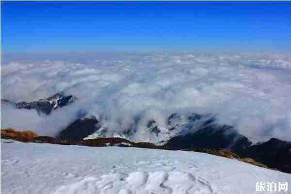 云南云海哪里最漂亮